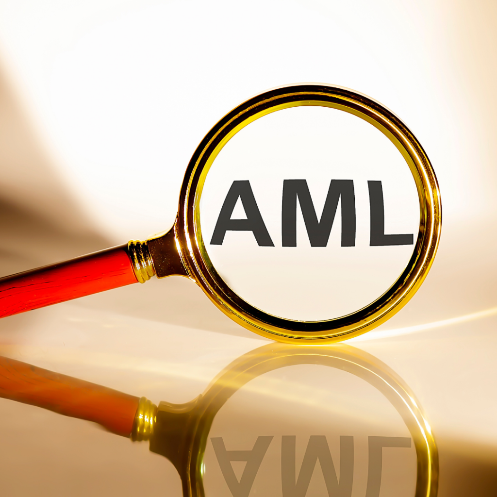 aml services illustration
